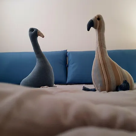 Alojamento de Acomodação e Pequeno-almoço Casa Di Anita